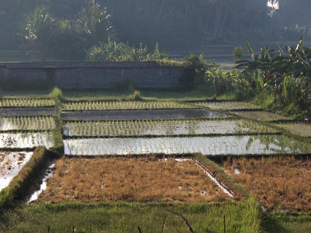 Villa Kawan Tanah Lot Szoba fotó
